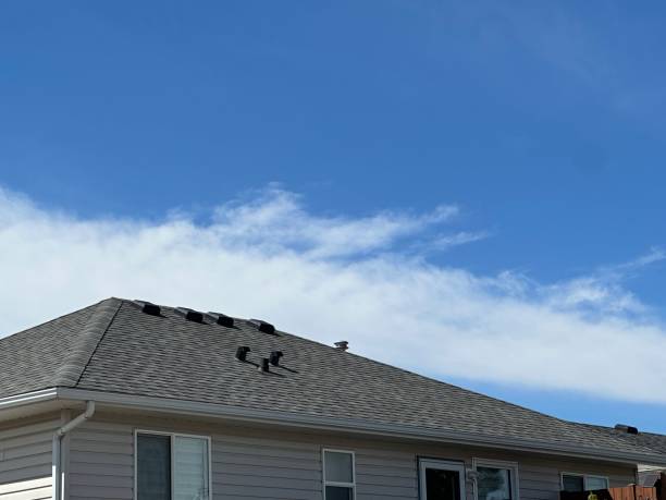 Roof Insulation in Oakley, UT